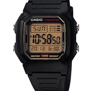 ساعت مچی کاسیو جنرال W-800HG-9AVDF